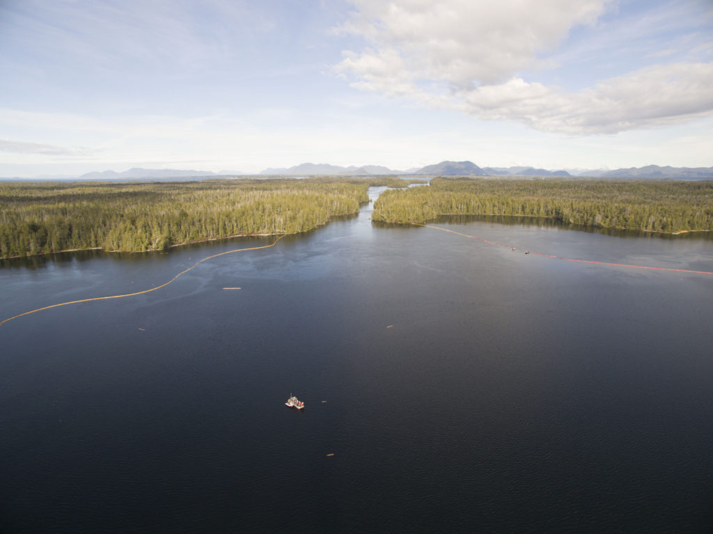 knight_gale-pass-booms-2016-10-16_credit-ian-mcallister-for-pacific-wild